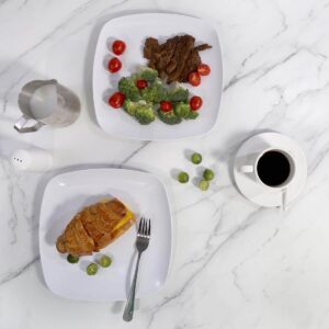 Lightweight melamine crockery dishes for outdoor and indoor use