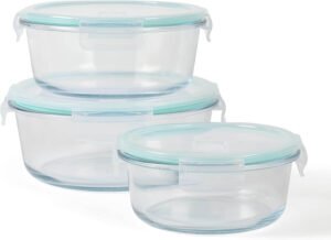 Borosilicate glass food storage container