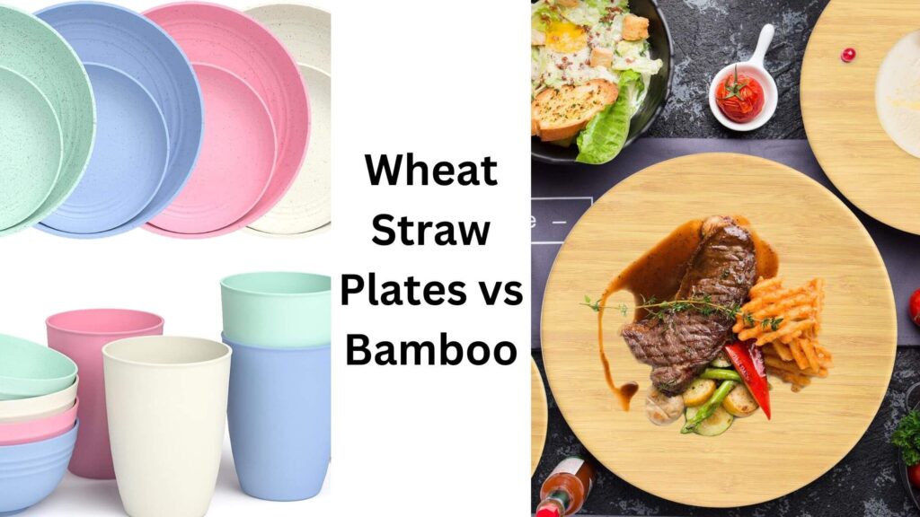 Green Dining Options Wheat straw Plates vs Bamboo Plates
