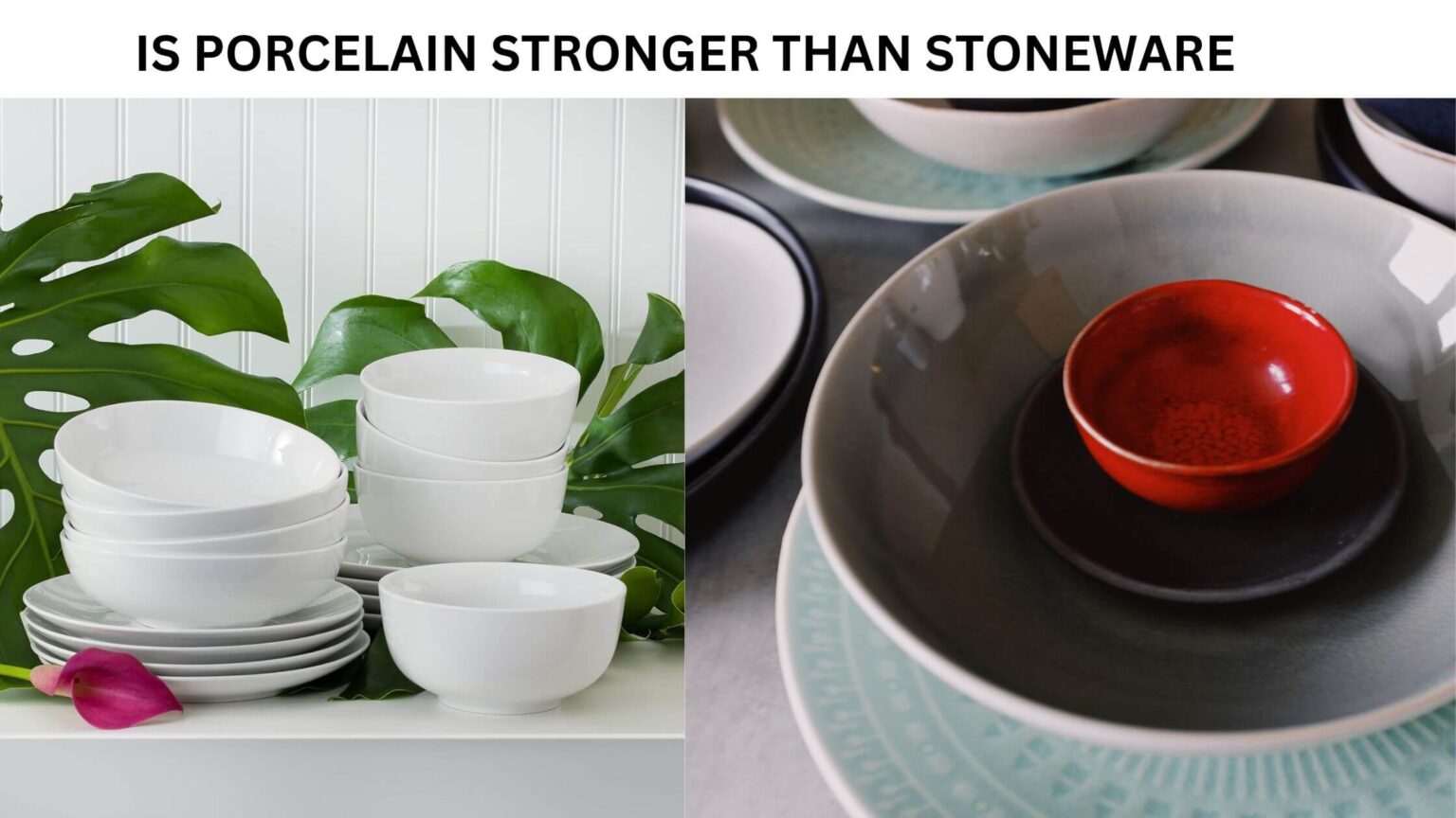 Strength ClashPorcelain vs StonewareThe Pottery Rivalry!