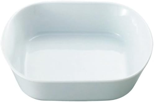 Apilco square roast dish