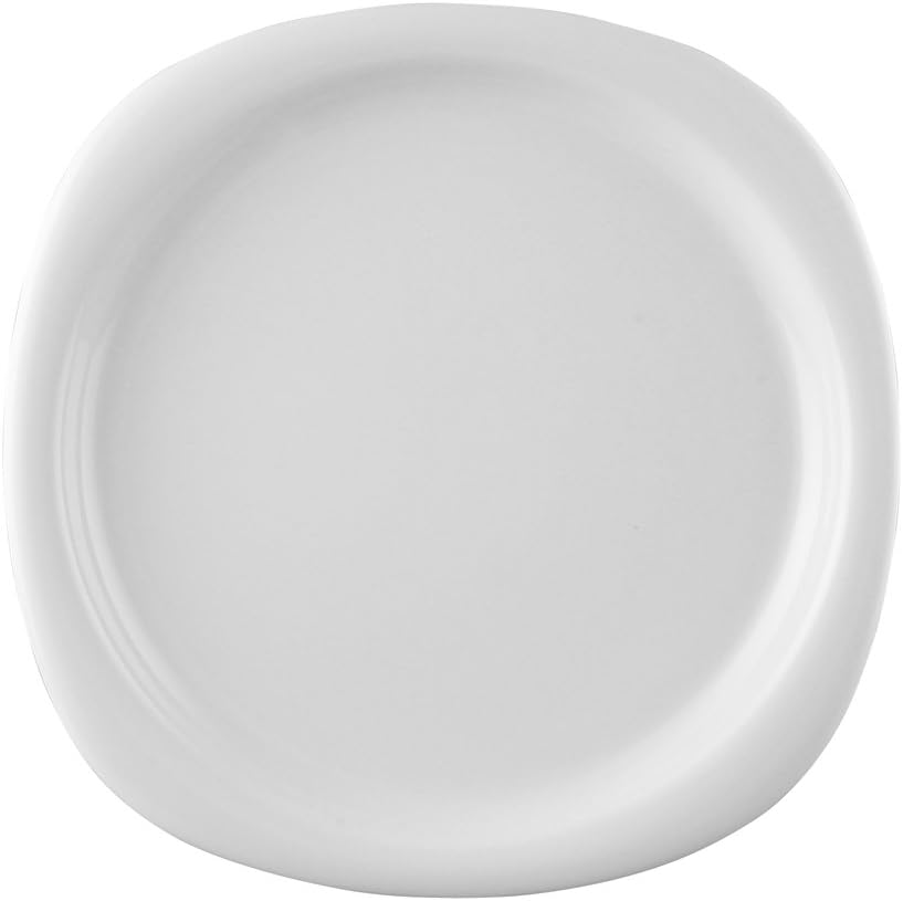 Rosenthal Porcelain Suomi Plate