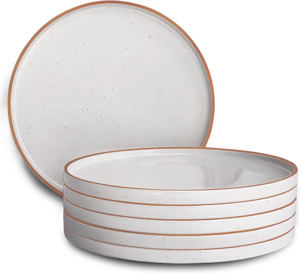 10.5 inch standard porcelain dinner plates
